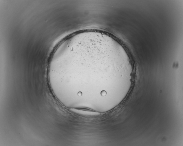 X0000111221316200907231431