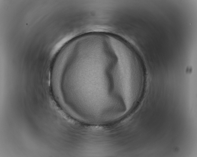 X0000111221317200907231431