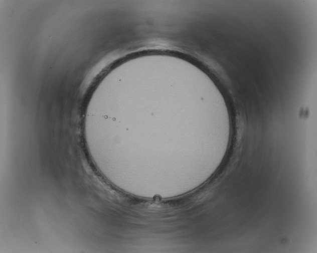 X0000111221318200907231431