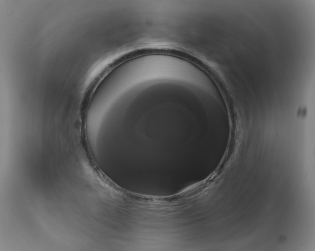 X0000111221319200907231431