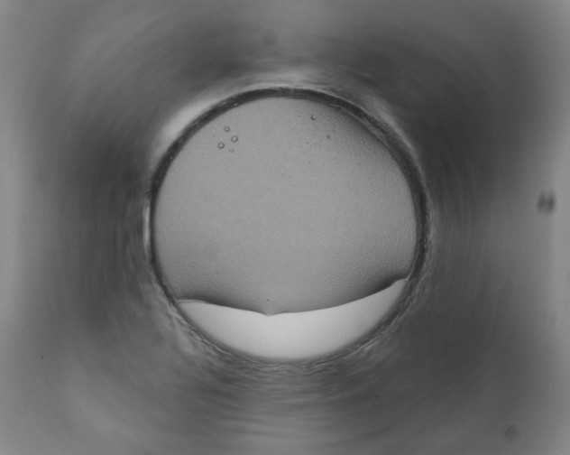 X0000111221320200907231431