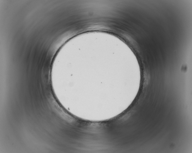X0000111221322200907231431
