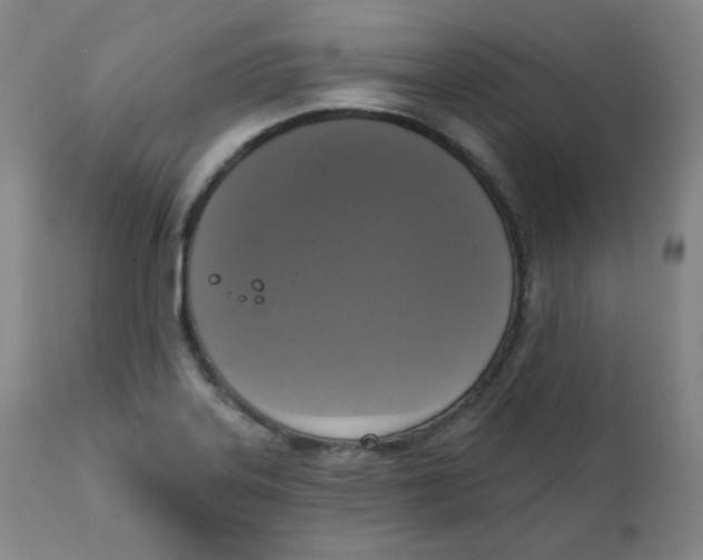 X0000111221323200907231431