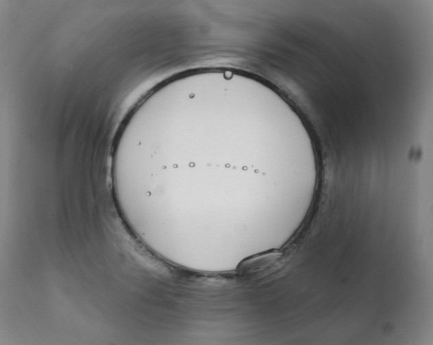 X0000111221324200907231431