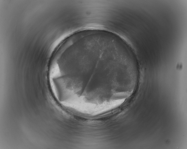 X0000111221325200907231431