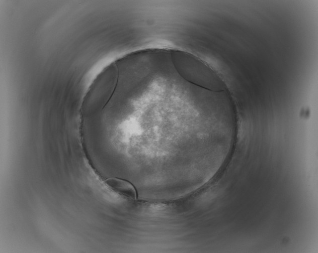 X0000111221326200907231431
