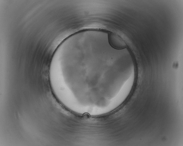 X0000111221329200907231432