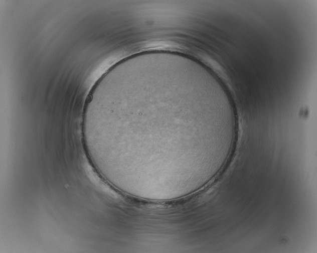 X0000111221330200907231432
