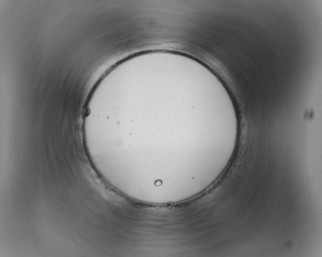 X0000111221332200907231432