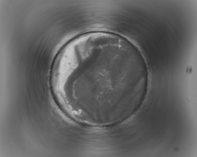 X0000111221333200907231432