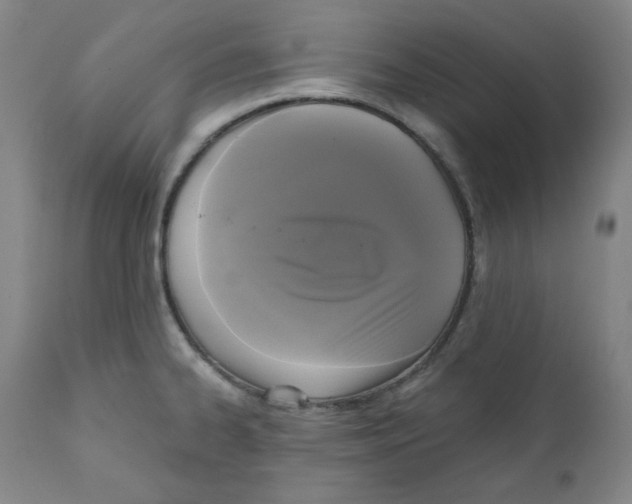 X0000111221334200907231432
