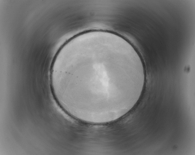 X0000111221335200907231432