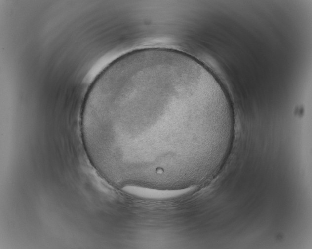 X0000111221336200907231432