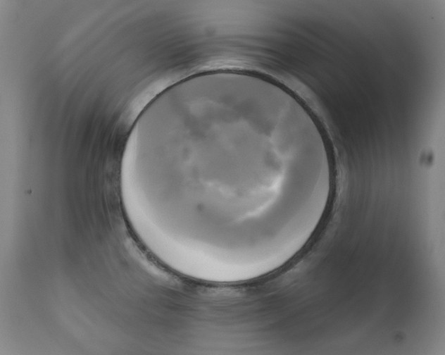 X0000111221337200907231432