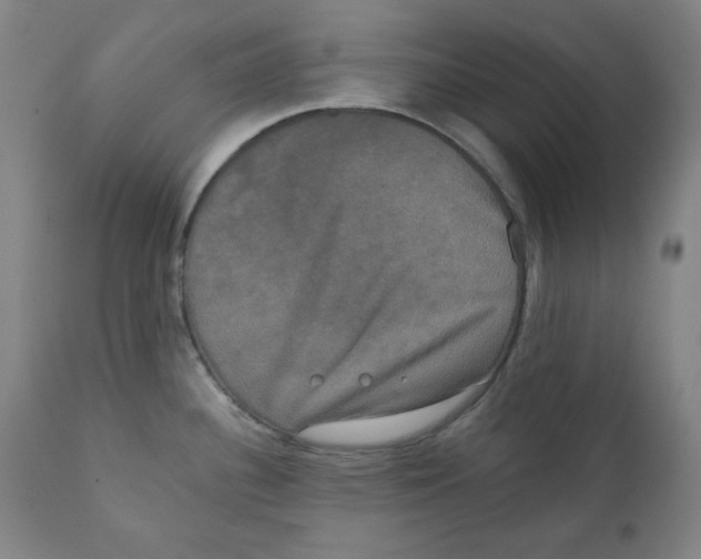 X0000111221340200907231432