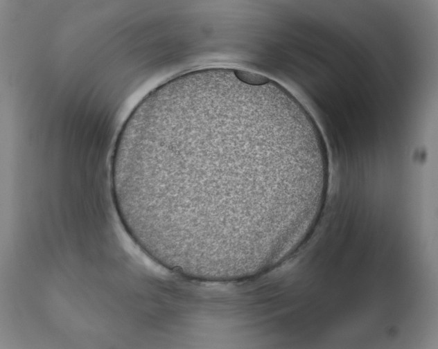 X0000111221341200907231432