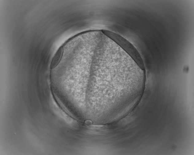 X0000111221342200907231432