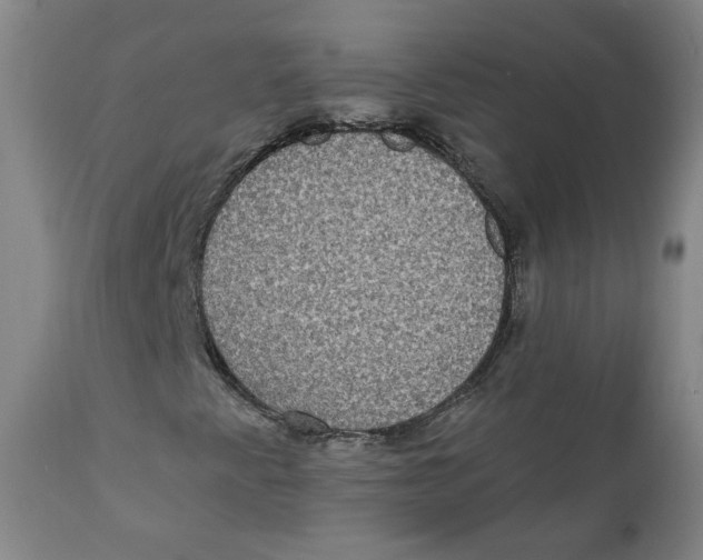 X0000111221345200907231431