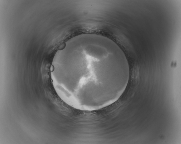 X0000111221346200907231431