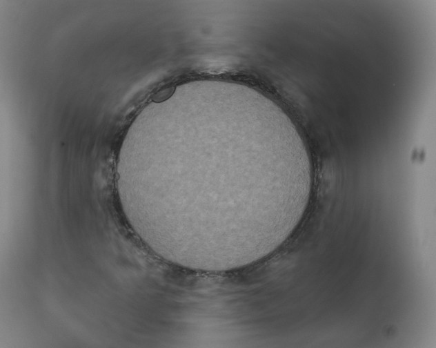 X0000111221349200907231431