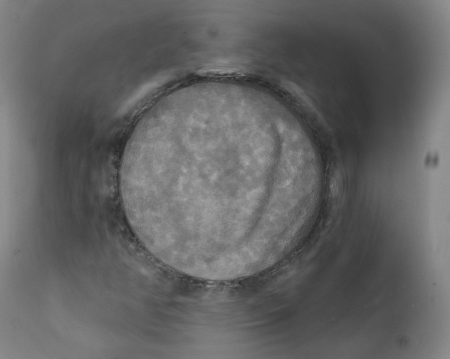X0000111221350200907231431