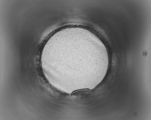 X0000111221352200907231431