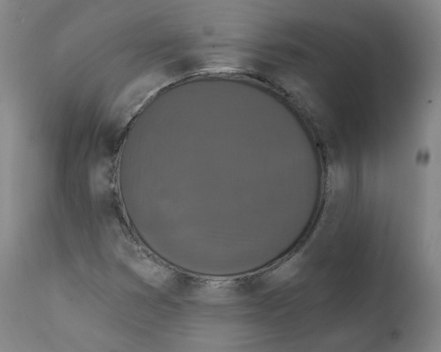 X0000111221353200907231431