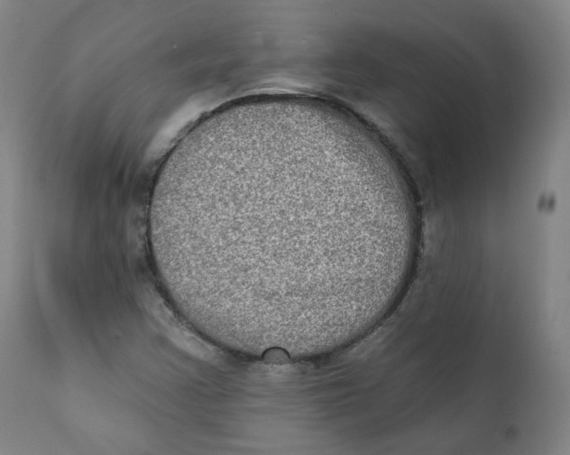 X0000111221355200907231431