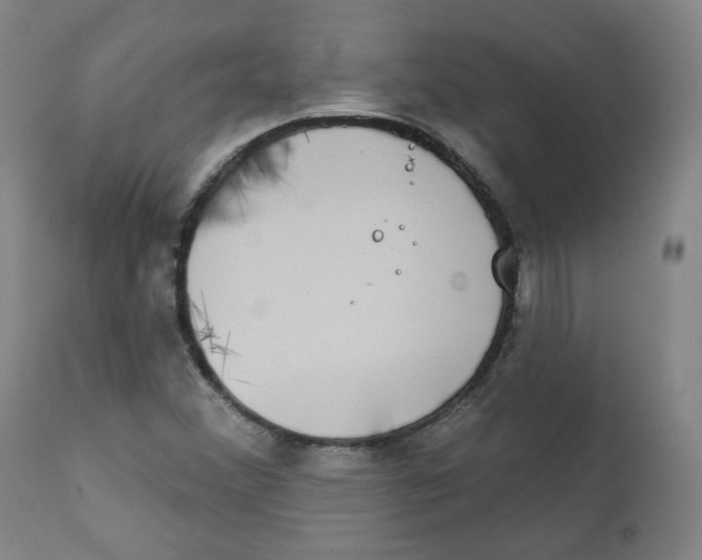 X0000111221356200907231431