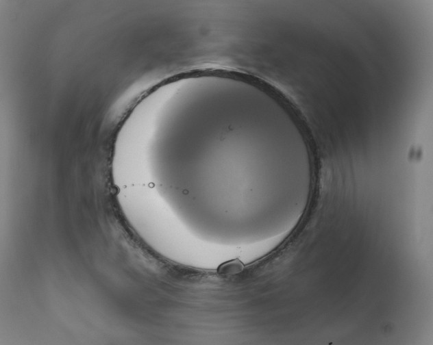 X0000111221359200907231431
