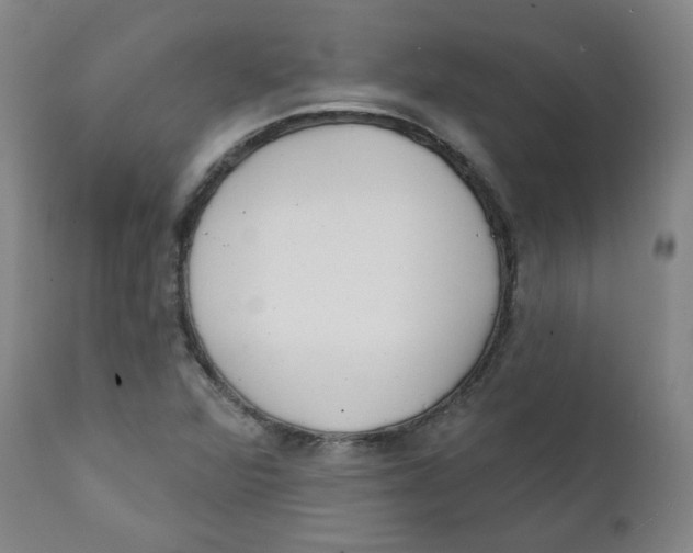 X0000111221360200907231431