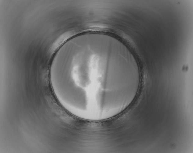 X0000111221362200907231430