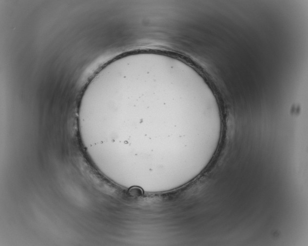 X0000111221363200907231430