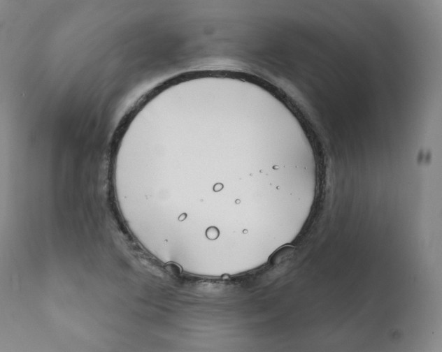 X0000111221364200907231430