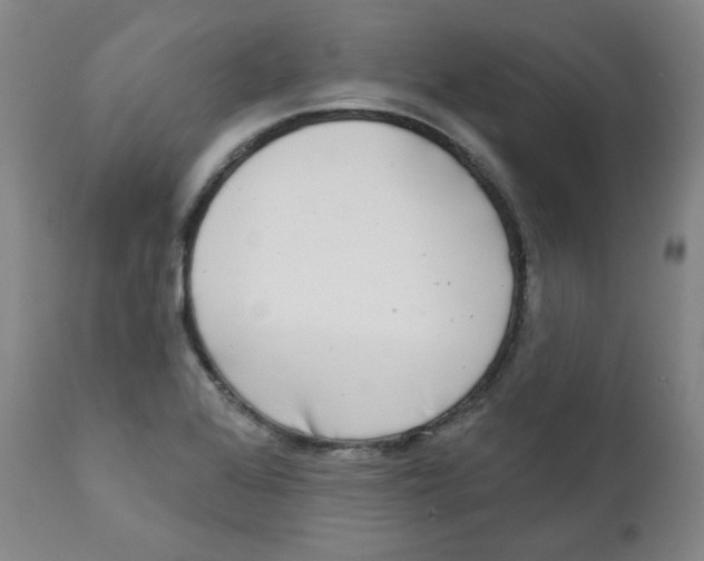 X0000111221368200907231430