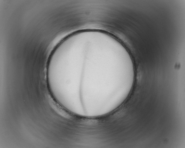 X0000111221372200907231430