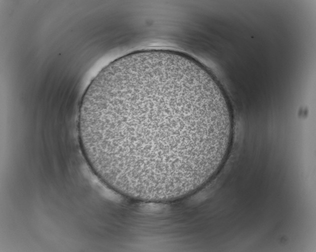 X0000111221374200907231430