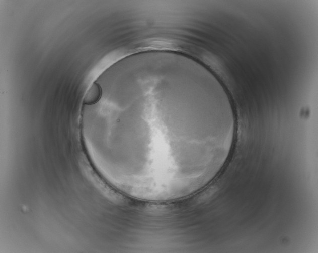 X0000111221378200907231430