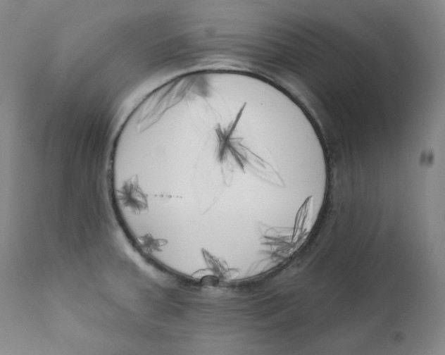 X0000111221379200907231430