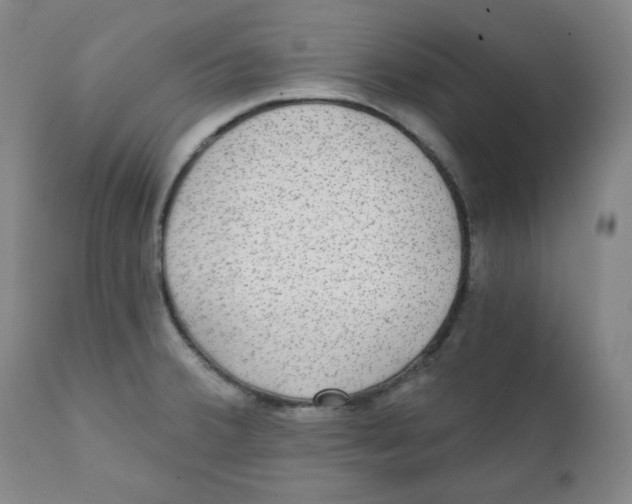 X0000111221380200907231430