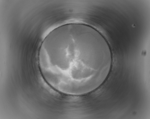 X0000111221382200907231430