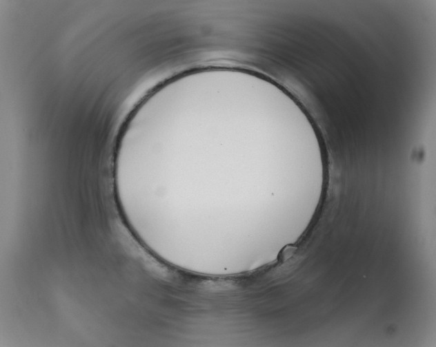 X0000111221384200907231430