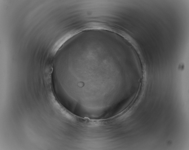 X0000111221385200907231430