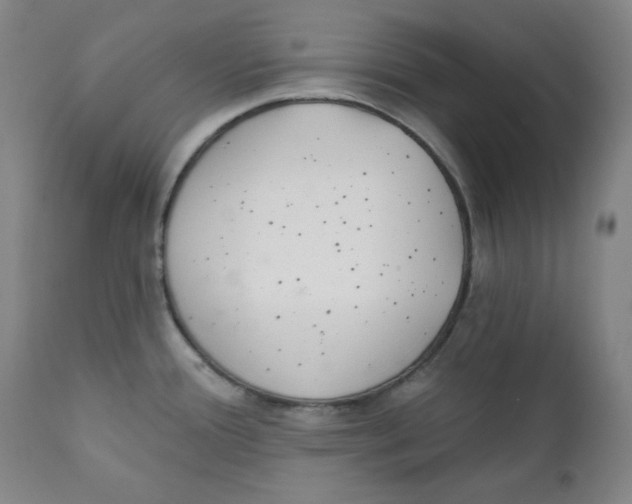 X0000111221388200907231430
