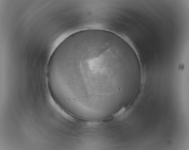 X0000111221389200907231430