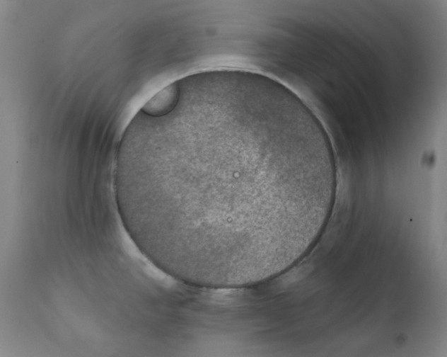 X0000111221390200907231430
