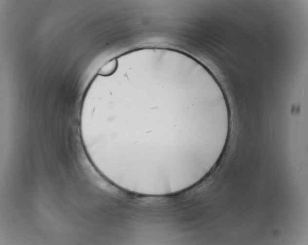 X0000111221392200907231430