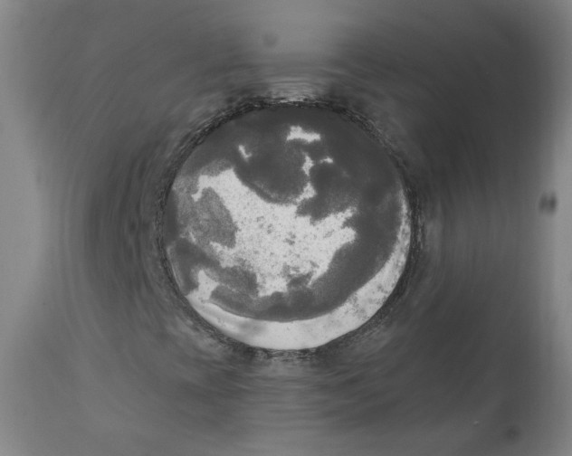 X0000111221393200907231429