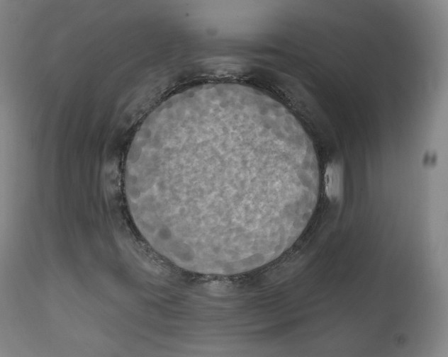 X0000111221395200907231429
