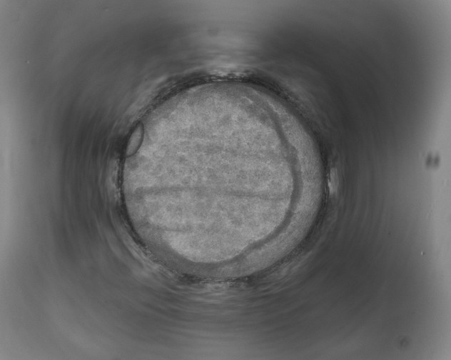 X0000111221396200907231429